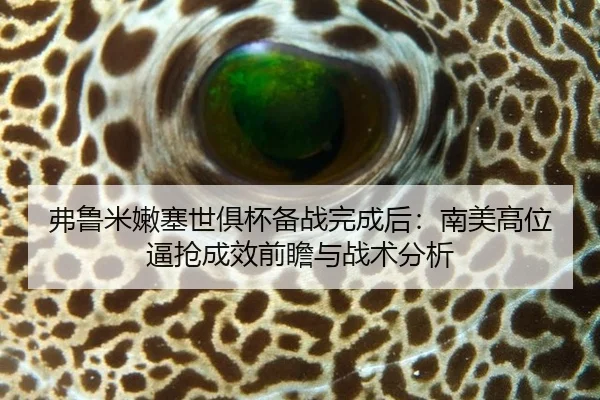 弗鲁米嫩塞世俱杯备战完成后：南美高位逼抢成效前瞻与战术分析